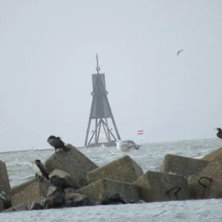 Deichblick Apartament