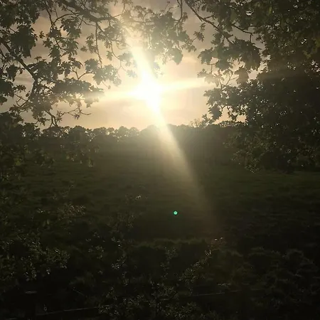 Deichblick * كوكسهافن